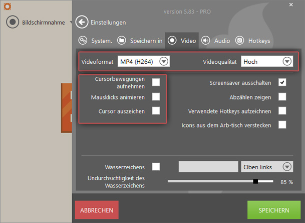 Video Einstellungen des Aufnahme Programms Video Einstellungen des Aufnahme Programms